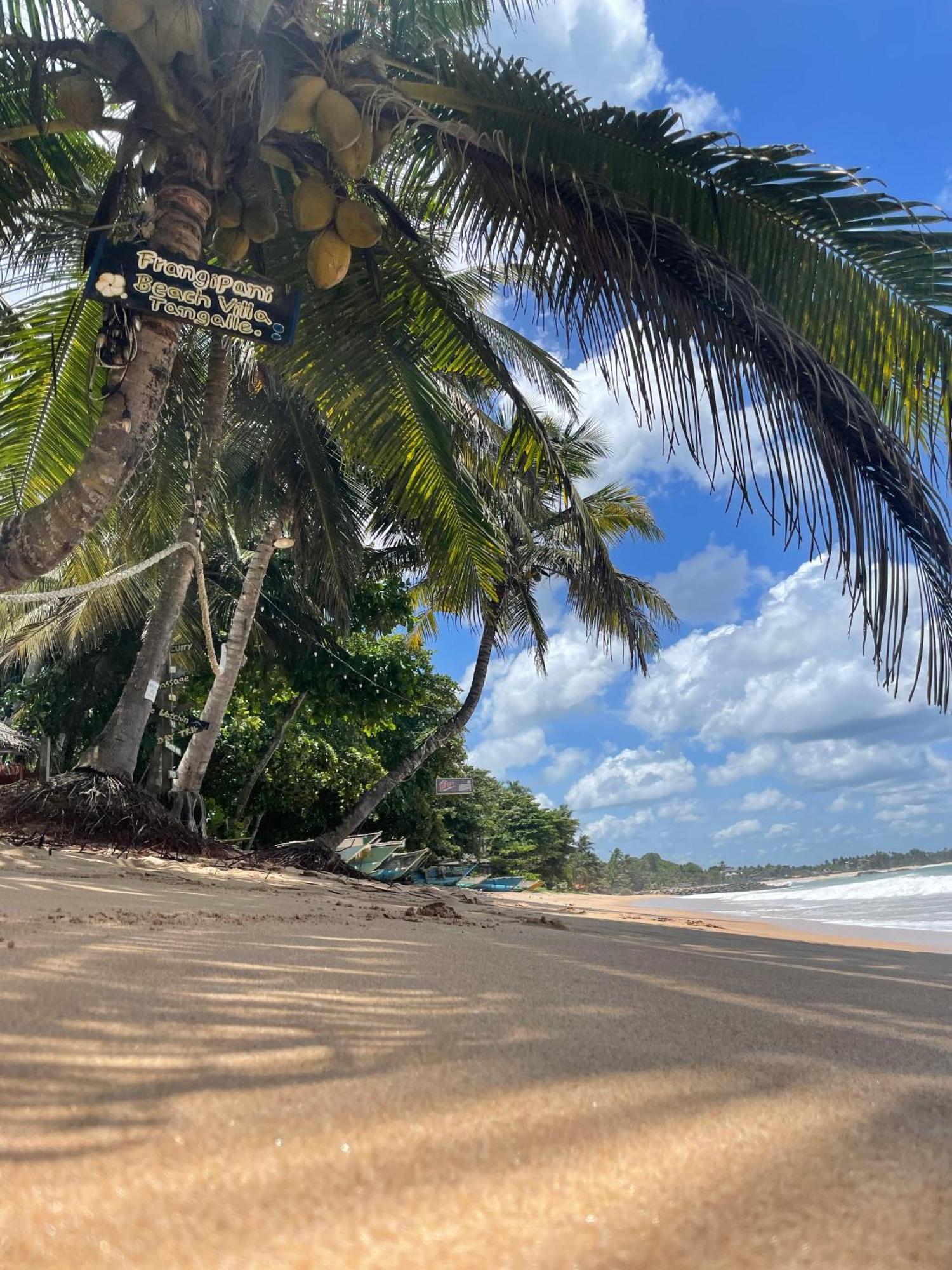 Frangipani Beach Villa Tangalle Dış mekan fotoğraf