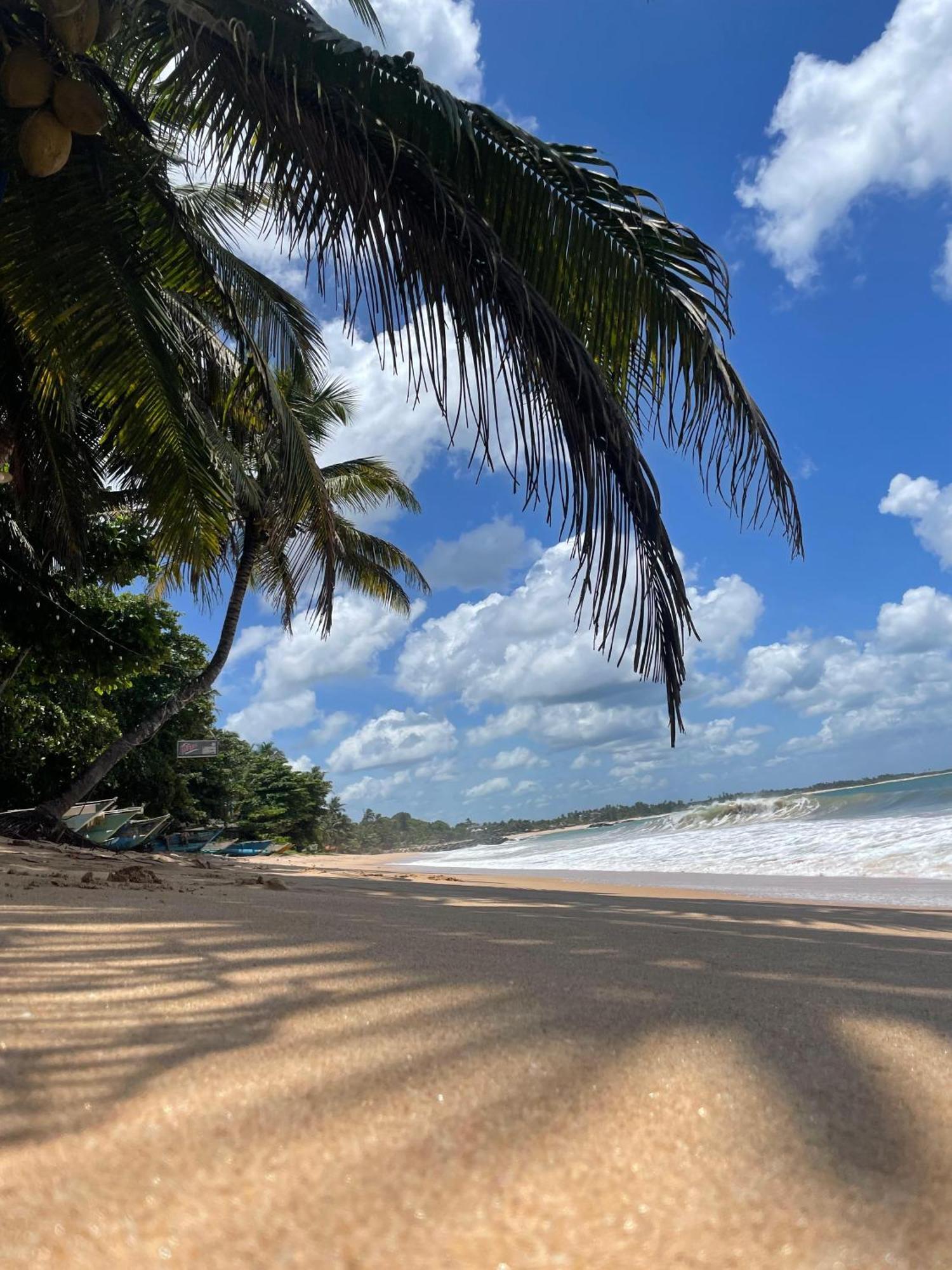 Frangipani Beach Villa Tangalle Dış mekan fotoğraf